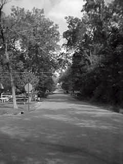 Aug-20-2000::Mvc-200e.jpg